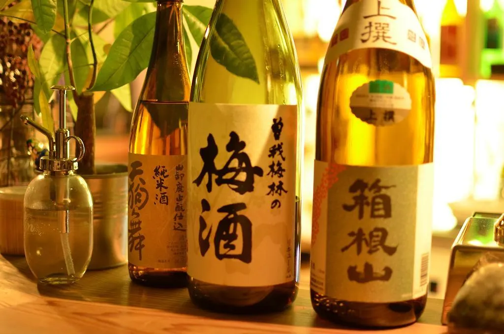 Guesthouse Azito Hakone 0*,